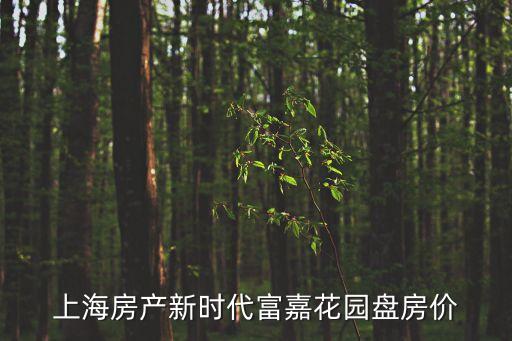 上海市政馨苑二手房，上海房產新時代富嘉花園盤房價