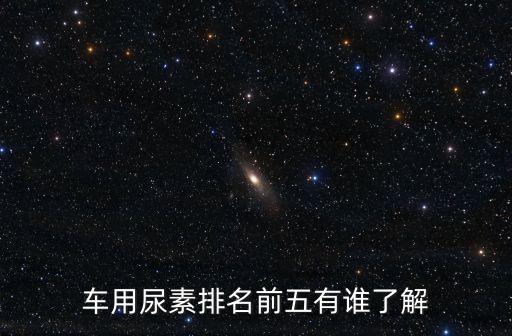 車用尿素排名前五有誰了解