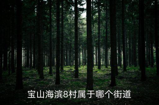 上海市寶山八村是那個弄，寶山區(qū)美康路818弄屬于哪個街道
