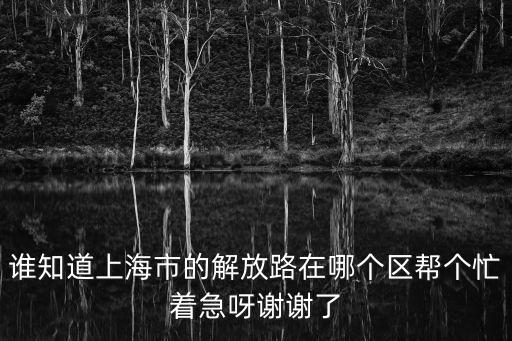 誰知道上海市的解放路在哪個區幫個忙著急呀謝謝了