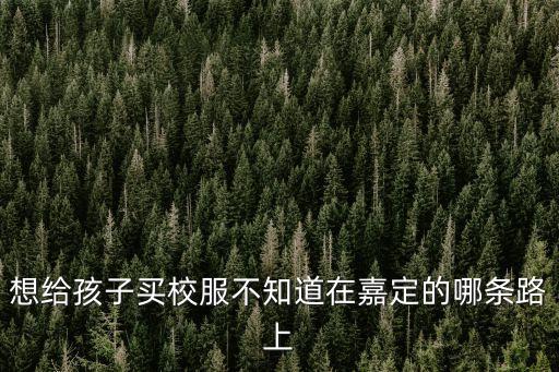 上海市嘉定區清河路小學怎么樣，嘉定區清水路小學與普通小學 哪個好