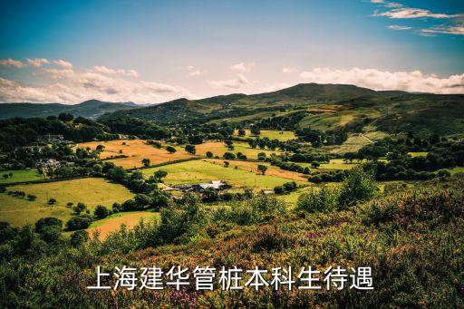 上海市建華建材工資待遇怎么樣，上海建工的待遇怎么樣除了工資3000多外有沒有效益獎金