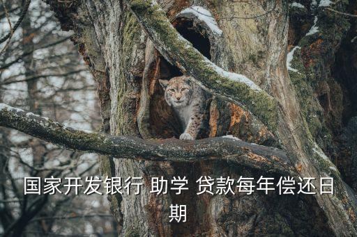 助學貸款還款時間,2023年助學貸款還款時間