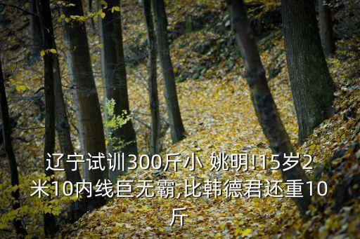 小姚明
