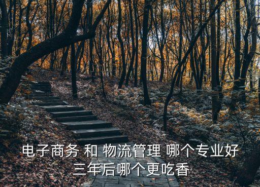 電子商務 和 物流管理 哪個專業好 三年后哪個更吃香