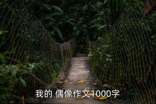 我的偶像