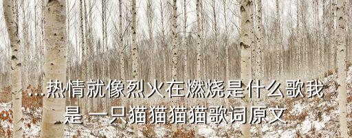 我是一只貓,歌詞:我是一只貓你聽我心跳