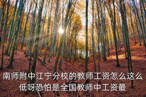 上海市江寧學(xué)校教師，南師附中江寧分校的教師工資怎么這么低呀恐怕是全國(guó)教師中工資最