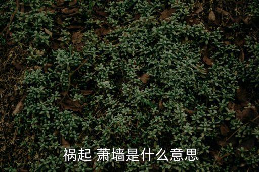 禍起蕭墻