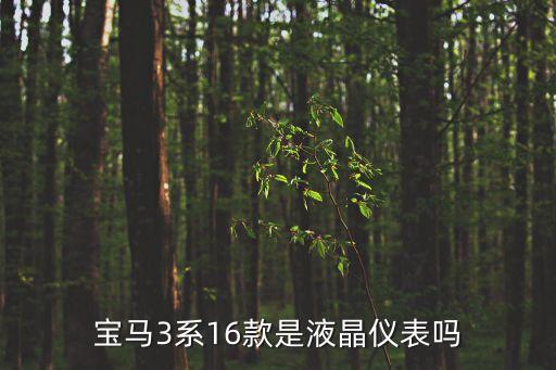 寶馬3系16款是液晶儀表嗎