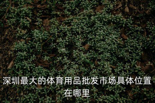 深圳羽毛球批發市場，深圳哪里可以買到勝利的羽毛球