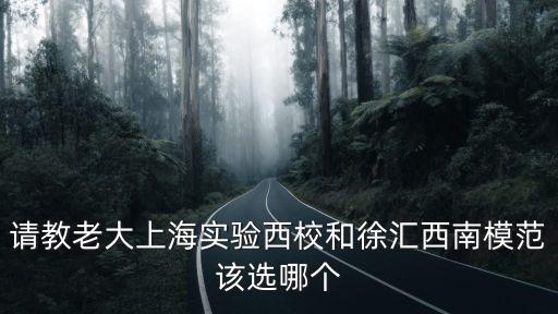 上海市實驗西校 實驗班，上海實驗學校西校開始報名的了嗎學校收簡歷了嗎