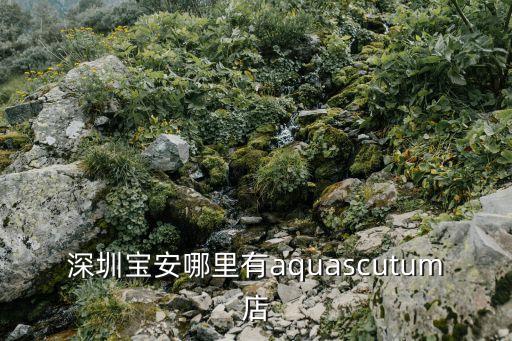 深圳寶安有炒酸奶嗎，深圳當(dāng)鋪地址在哪寶安區(qū)