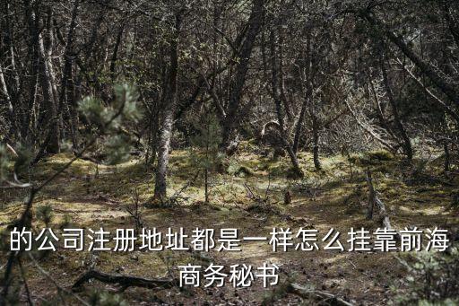 的公司注冊地址都是一樣怎么掛靠前海商務秘書