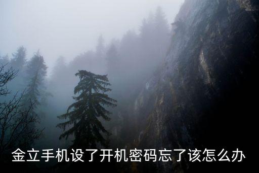 金立手機設了開機密碼忘了該怎么辦