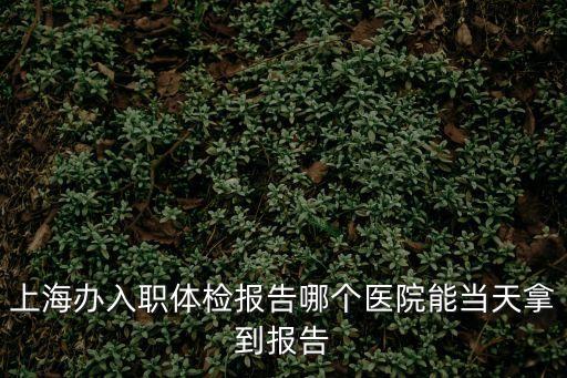 上海市公共衛生臨床中心 入職體檢，上海有哪幾家二級以上甲等醫院周六周日可以進行入職體檢費用是多