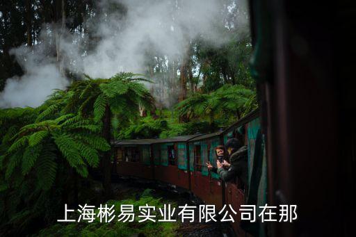 上海市小昆山鎮天淀路232，上海恕一光電科技有限公司具體地址