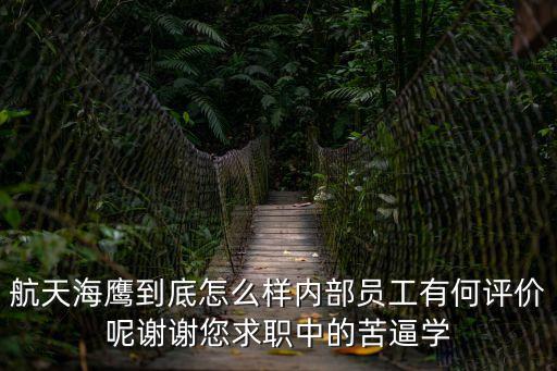 上海市航天海鷹，航天海鷹到底怎么樣內部員工有何評價呢謝謝您求職中的苦逼學