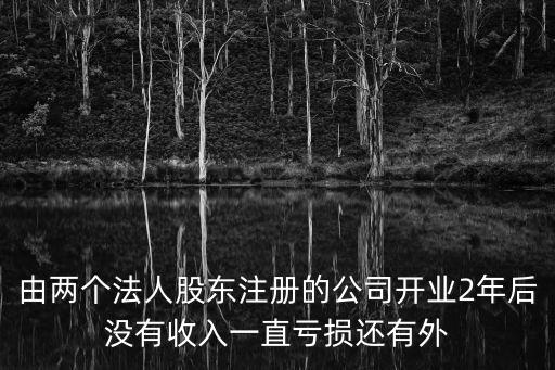 由兩個法人股東注冊的公司開業(yè)2年后沒有收入一直虧損還有外