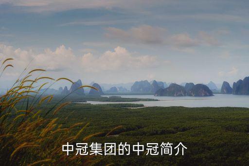深圳中冠集團控股有限公司，深圳市中冠創業有限責任公司怎么樣