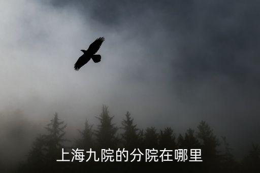 上海九院的分院在哪里