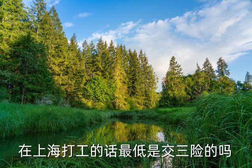 上海市三險一金最低繳，在上海打工的話最低是交三險的嗎