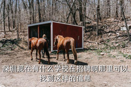 深圳現(xiàn)在有什么學校在招聘啊那里可以找到這樣的信息