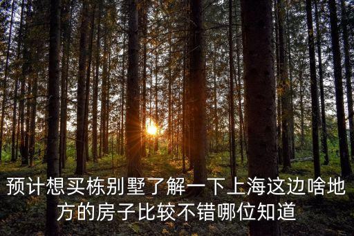 上海市金山園中苑別墅怎么樣，上海金山區的房子好嗎 在那邊買房哪個地段好 有升值空間 藍色收