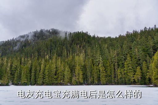 深圳友電充電寶，電友充電寶充滿電后是怎么樣的