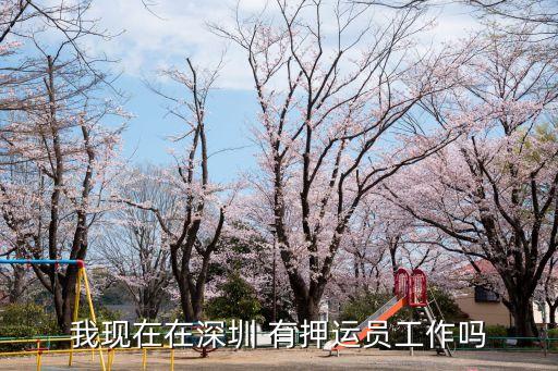 我現(xiàn)在在深圳 有押運員工作嗎