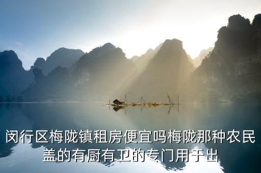 閔行區梅隴鎮租房便宜嗎梅隴那種農民蓋的有廚有衛的專門用于出