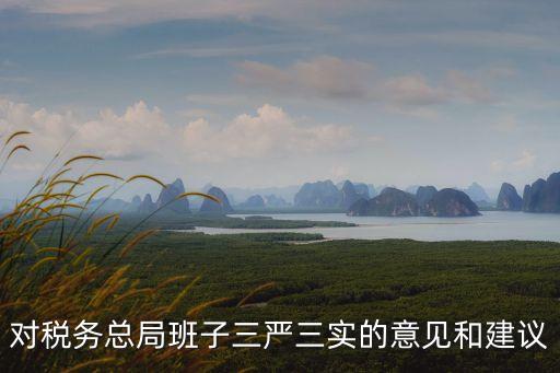 上海市稅務(wù)總局領(lǐng)導(dǎo)班子，稅務(wù)總局有那幾個(gè)協(xié)會(huì)會(huì)長(zhǎng)都是誰