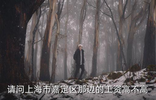 上海市政協 待遇如何，上海市事業單位工資詢問
