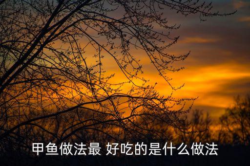 甲魚(yú)做法最 好吃的是什么做法