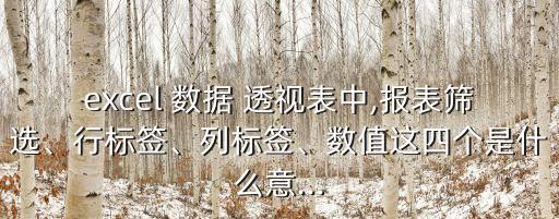 excel 數(shù)據(jù) 透視表中,報表篩選、行標(biāo)簽、列標(biāo)簽、數(shù)值這四個是什么意...