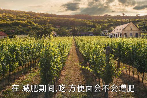 在 減肥期間,吃 方便面會(huì)不會(huì)增肥