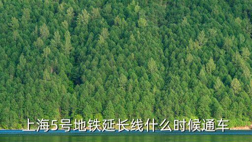 中國上海市五號開什么會，上海5號地鐵延長線什么時候通車