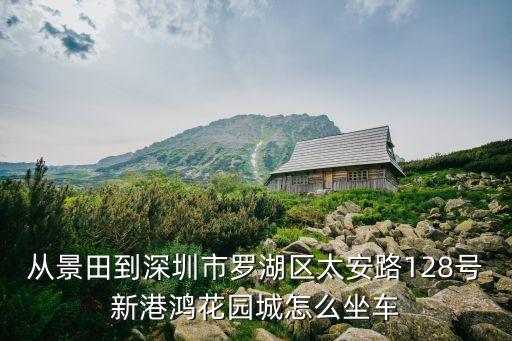 從景田到深圳市羅湖區太安路128號新港鴻花園城怎么坐車