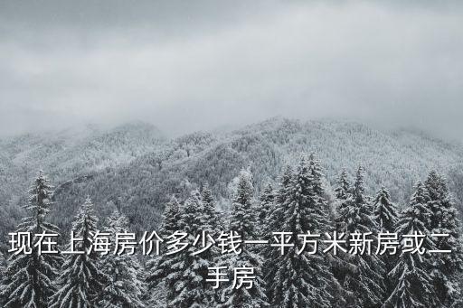 現在上海房價多少錢一平方米新房或二手房