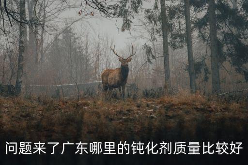 深圳鈍化劑，深圳有幾家家家惠超市