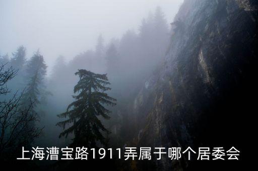 上海漕寶路1911弄屬于哪個居委會