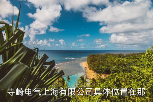 上海市靜安區(qū)昌平路68號(hào)217室，寺崎電氣上海有限公司具體位置在那