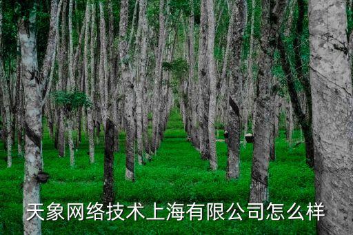 天象網絡技術上海有限公司怎么樣
