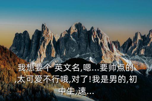 我想要個 英文名,嗯...要帥點的,太可愛不行哦,對了!我是男的,初中生,速...
