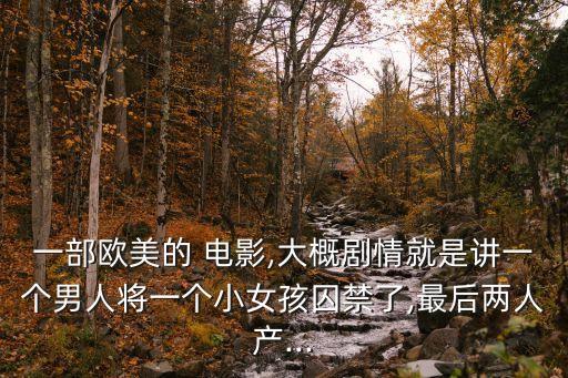 一部歐美的 電影,大概劇情就是講一個男人將一個小女孩囚禁了,最后兩人產...