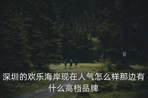 深圳歡樂海岸商鋪大眾，深圳的歡樂海岸現(xiàn)在人氣怎么樣那邊有什么高檔品牌