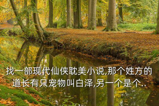 找一部現代仙俠耽美小說,那個姓方的道長有只寵物叫白澤,另一個是個...