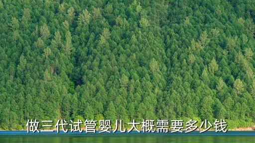 做三代試管嬰兒大概需要多少錢