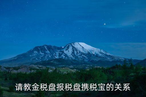 請(qǐng)教金稅盤報(bào)稅盤攜稅寶的關(guān)系