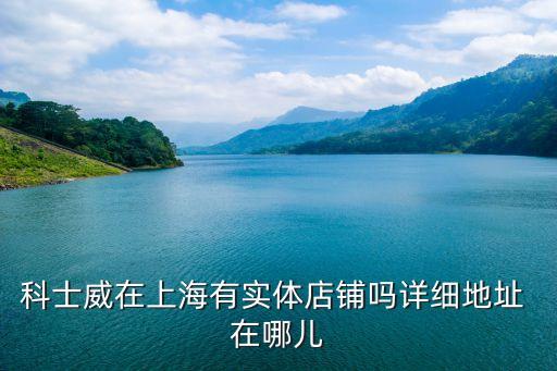 上海市大吉路65號，上海寶麗學(xué)校地址